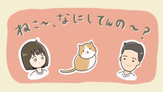 ねこまんが